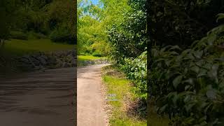 자연이 숨 쉬는 길🌿 부안 숲속에서 힐링하세요
