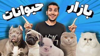 جمعه بازار حیوانات خانگیبا قیمت های باورنکردنی سگ و گربه(قسمت دهم) Animal Bazzar