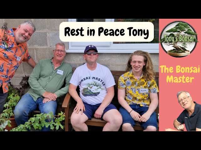 Rest in Peace Tony@TonysBonsai | Died today with family class=