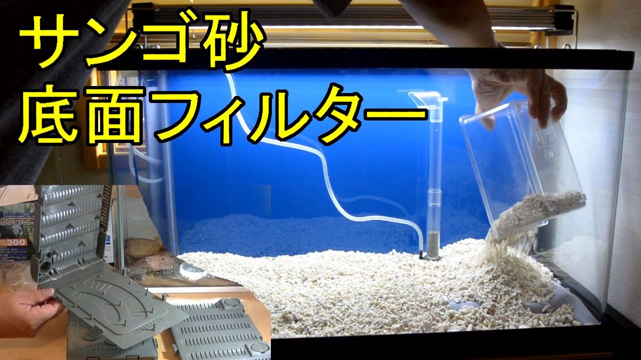 海水風レイアウト水槽立ちあげ サブに底面フィルター Youtube