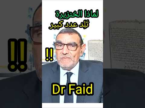 دكتور فايد علاش الخنزيرة تلد عدد كبير Dr Faid Channel