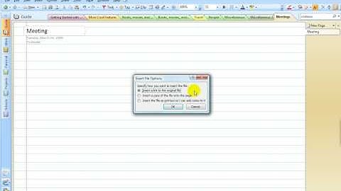 OneNote 2007 Insert Files as Printouts