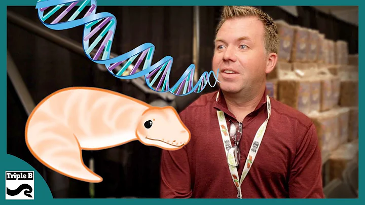 Talking Genetics and Overfeeding Snakes with Dr. W...