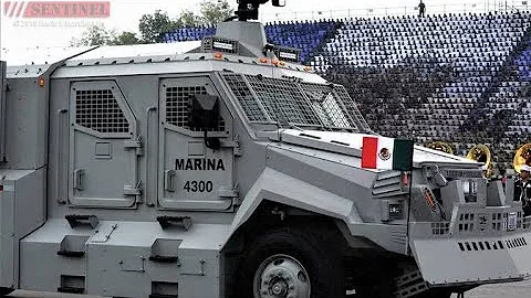 ¿Qué arma es la más utilizada en la Infantería de Marina?