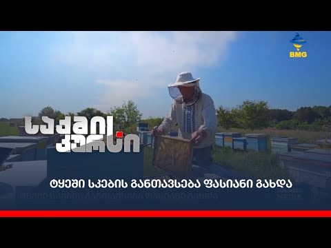 ტყეში სკების განთავსება ფასიანი გახდა