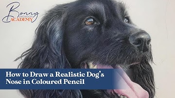How to Draw a Realistic Dog’s Nose in Coloured Pencil