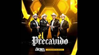 Los Encinos De Sinaloa 'El Precavido' (Album Completo) 2024