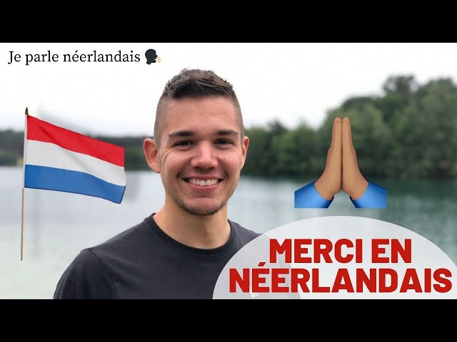 Merci en néerlandais - apprendre le néerlandais | vocabulaire néerlandais