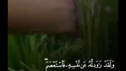 قال رب السجن أحب إلي مما يدعونني أليه ...ما تيسر من سورة يوسف (آيات تريح القلوب)