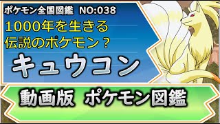 動画版ポケモン図鑑 1000年を生きる伝説のポケモン キュウコン解説 038 ゆっくり解説 Youtube