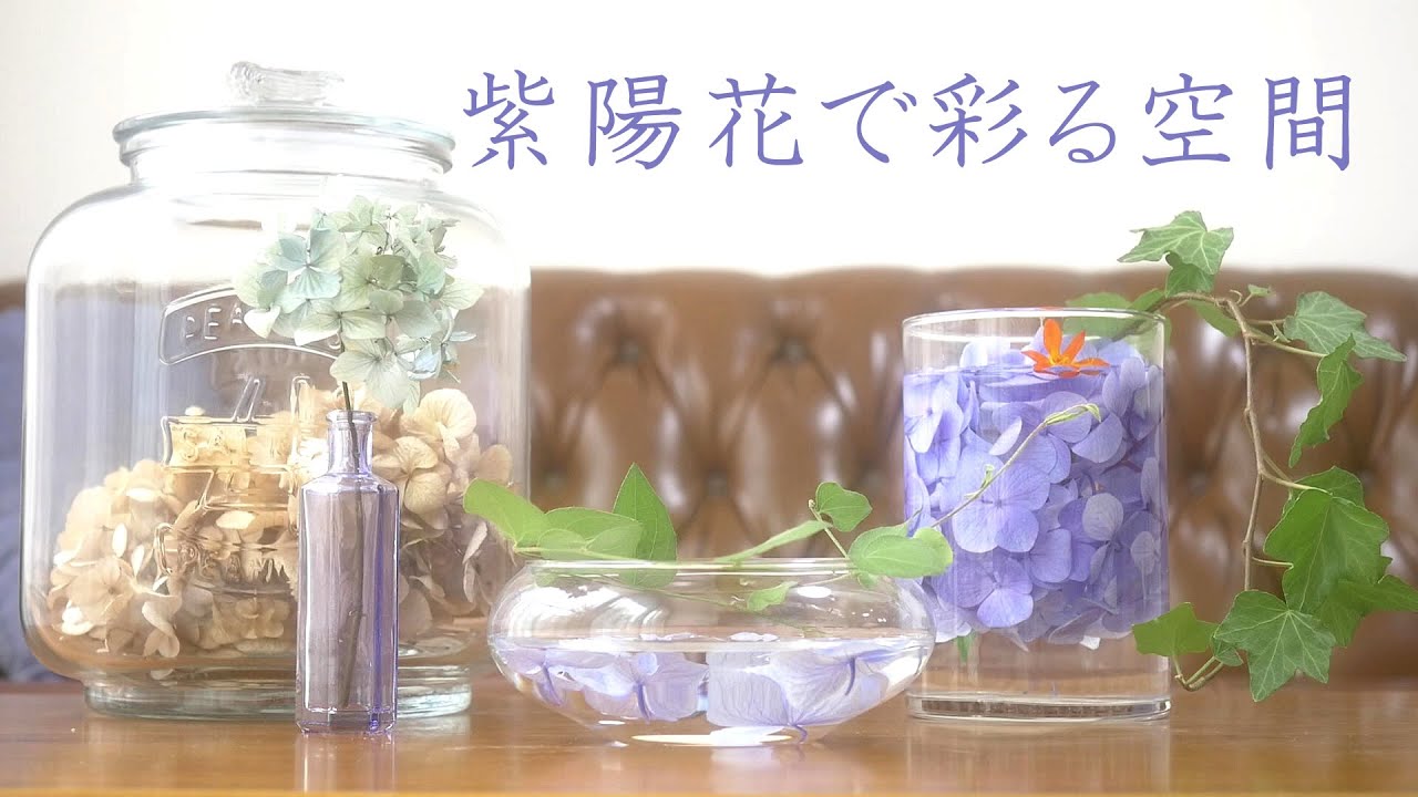 生け花 紫陽花を楽しみつくす飾り方 簡単テーブルフラワー Youtube
