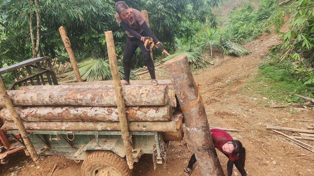 Two Young Girls Shocked to Find Giant Log from 1970- Transporting Wood by Agricultural Vehicle