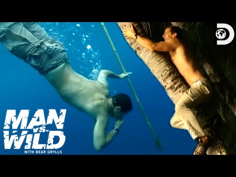 Bear Grylls Searches a Whole Island for Food | Man vs Wild