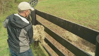 COVID-19 outbreak impacts Kentucky cattle farmers