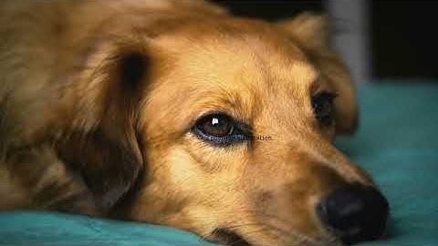 Simple wellness routine for busy people @wellnessflow_official 