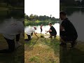 自由にクリエイティブを楽しもう。