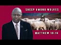 Mr MM Monakali MT Frere Luyengweni Mr MM Monakali MT Frere Luyengweni