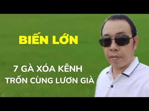 7 gà xóa kênh trốn lần 2, lươn lần này khó thoát | https://s.shopee.vn/qhrwSR6V5