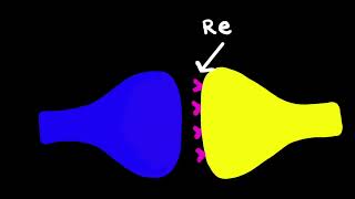 Gigi, Lucy, and Michael - Lights Camera Action Potentials Video