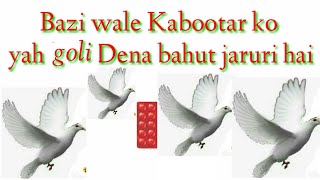 Bazi wale Kabootar ko yah Goli Dena bahut jaruri hai 🙏🙏