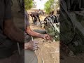Motor tamiri