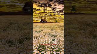 Deephousemusic🔊.       #Music #Deephouse #Музыка #Дип #Nature #Природа #Дипхаус #Beautiful