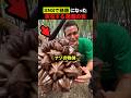 ホントにあった“ 悪魔の実 "😈🍍