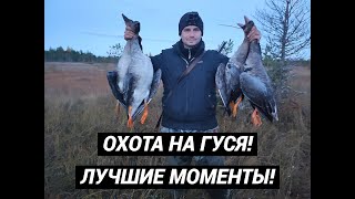 ОХОТА НА ГУСЯ! НАРЕЗКА ЛУЧШИХ МОМЕНТОВ И НАЛЁТОВ!