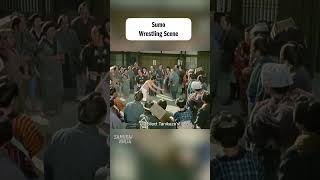Funny Moments Solo Sumo Wrestling Scene The 18 Shadows shorts