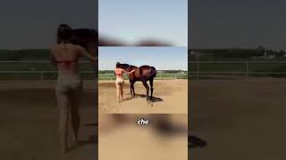 Quando Il Cavallo Capisce Tutto