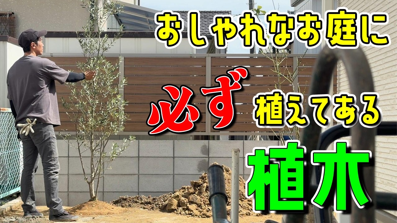 水捌けが悪くてコケが生えてきていたお庭に植木を植えて緑が楽しめるお庭に造り替えます【水捌けが悪くコケだらけだったお庭をリフォーム＃3話】