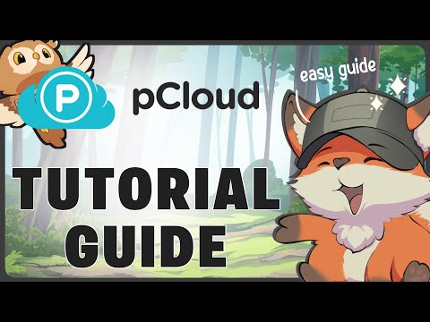 How to Use pCloud Transfer – Easy Guide for Fast File Sharing