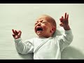 Baby Crying Sound Dog Training Video