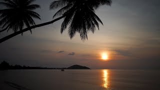 ⌚ 1 HOUR of RELAXING WAVE SOUNDS at SUNRISE (Chill / Study / Sleep)