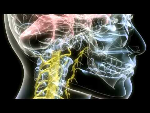 \"Born on Judgment Day\" Helloween cover