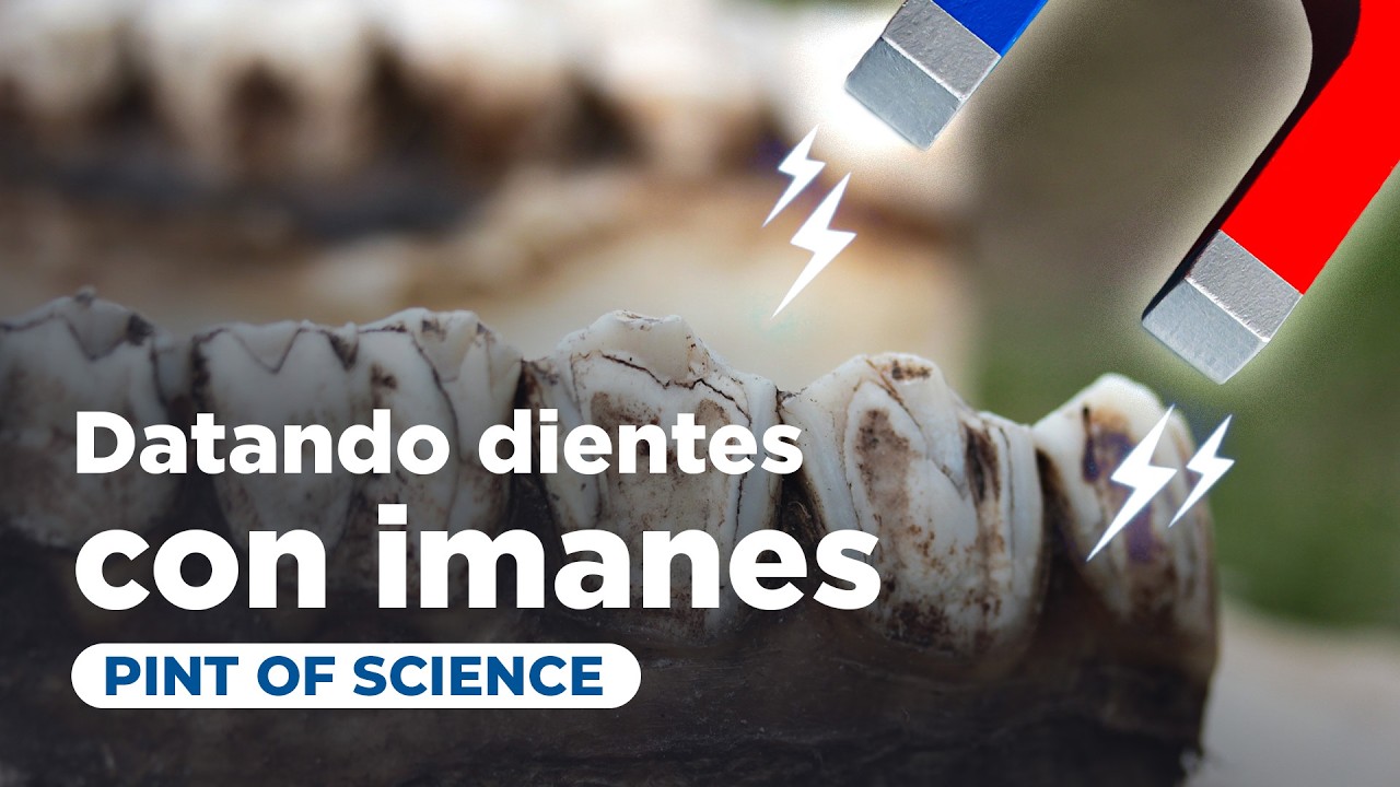 ¿Te re-suena? Datando dientes con imanes | Irene Romo Díez