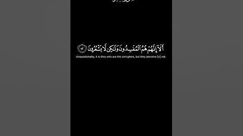 كرومات قرآن كريم | في قلوبهم مرض | سورة البقرة | مشاري العفاسي | قرآن شاشه سوداء |   #كرومات_قرآن
