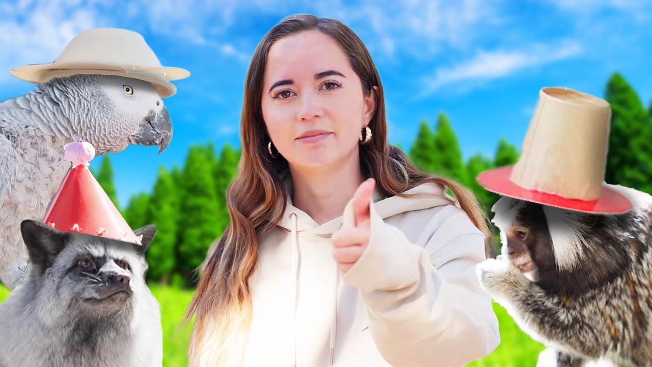 Our Animals Attempt to Wear Hats for National Hat Day