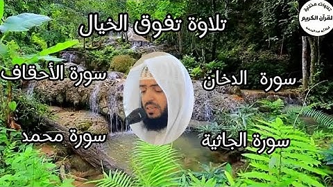 سورة (الدخان،، الجاثية،، الأحقاف،، محمد،) تلاوة مريحة للقلب للقارئ وديع اليمني