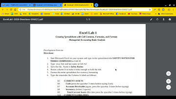 Excel Lab 1  1 01 Downloading the Directions & the Writeup