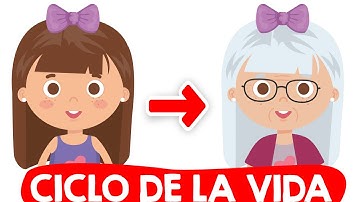 ¿CUÁL ES EL CICLO DE LA VIDA de los SERES VIVOS?👶⏩👦⏩👨⏩👴 Resumen del Ciclo de la Vida para niños🐣⏩🐥⏩🐓