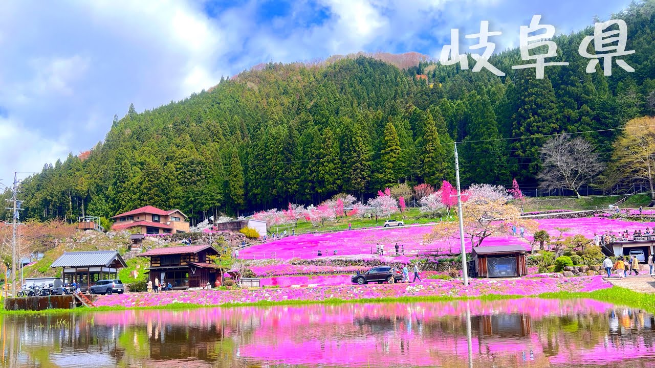 《岐阜県》國田家の芝桜in郡上🌸道の駅を2件ハシゴ🚗💨