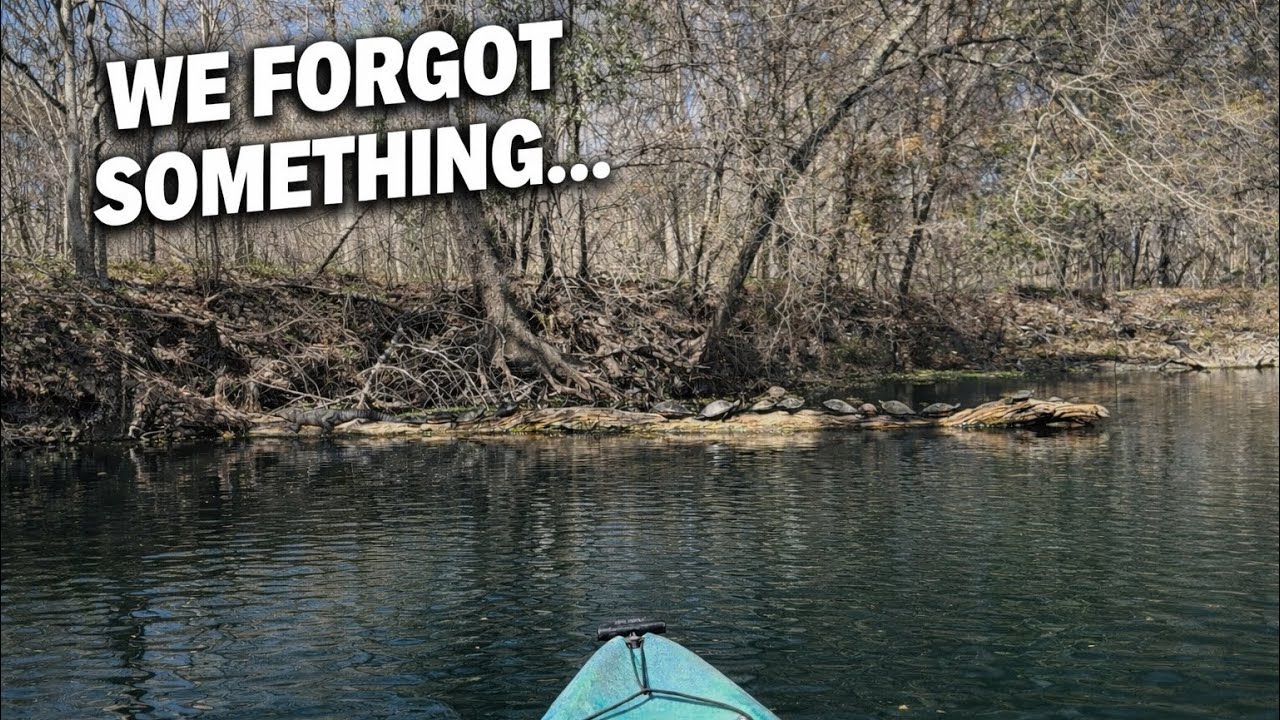 Kayaking With Gators on the Santa Fe River | High Springs, Florida