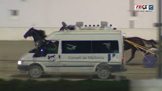 Vidéo de la course PMU PREMI NARDON DF