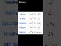 Speak Smart English with Urdu Guidance #englishchallenge #english #youtubeshorts