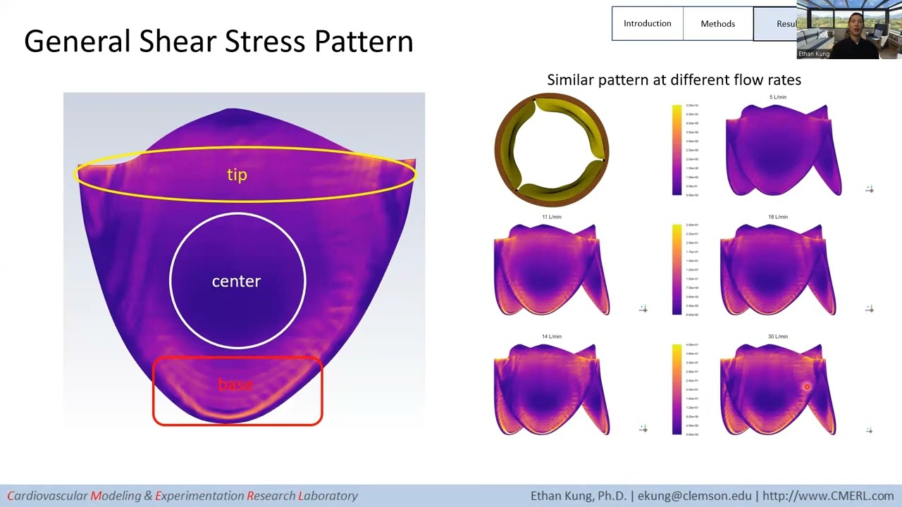 Wall Shear Stress Quantification in Tissue Engineered Heart Valves ...