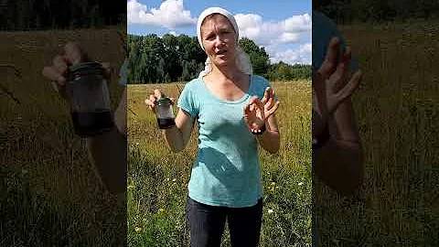 #shorts ЛУЧШЕЕ СРЕДСТВО ОТ КОМАРОВ МОШЕК СЛЕПНЕЙ