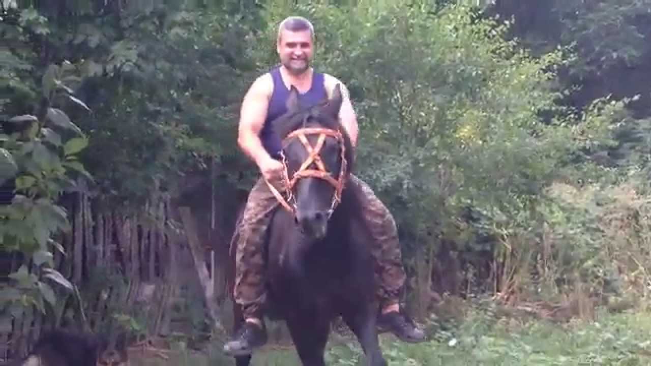 Казак на лошади радуется, что стал дедом! - YouTube
