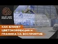 Как влияет цветокоррекция и графика на восприятие