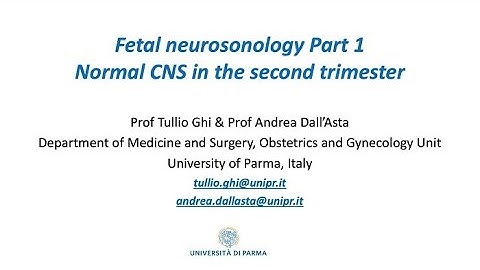 The ultrasound assessment of the fetal brain at 20 weeks | Prof. Dr. Ghi, Prof. Dr. Dall